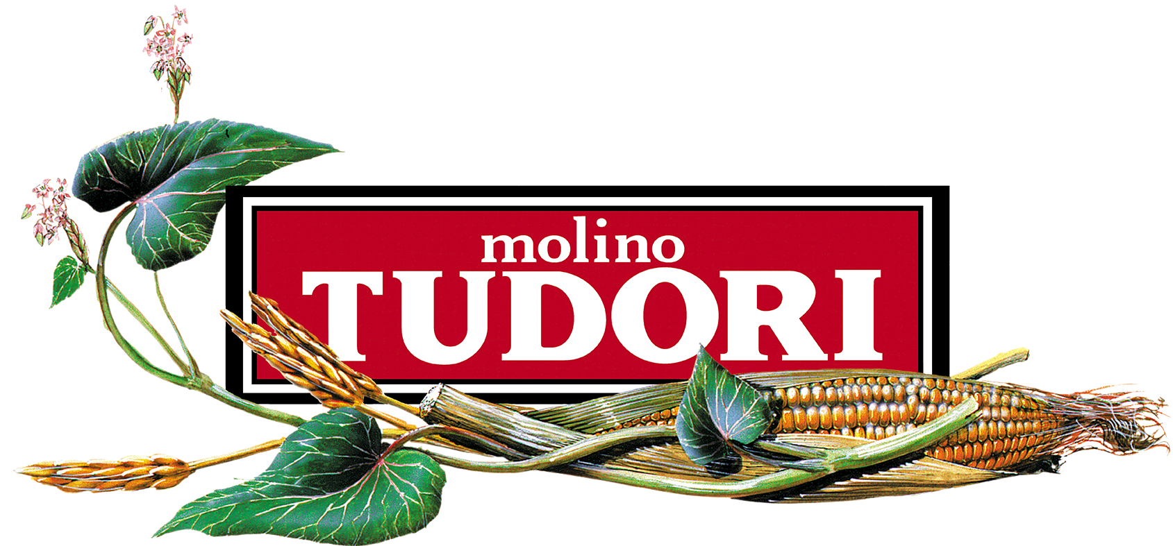 Molino Tudori